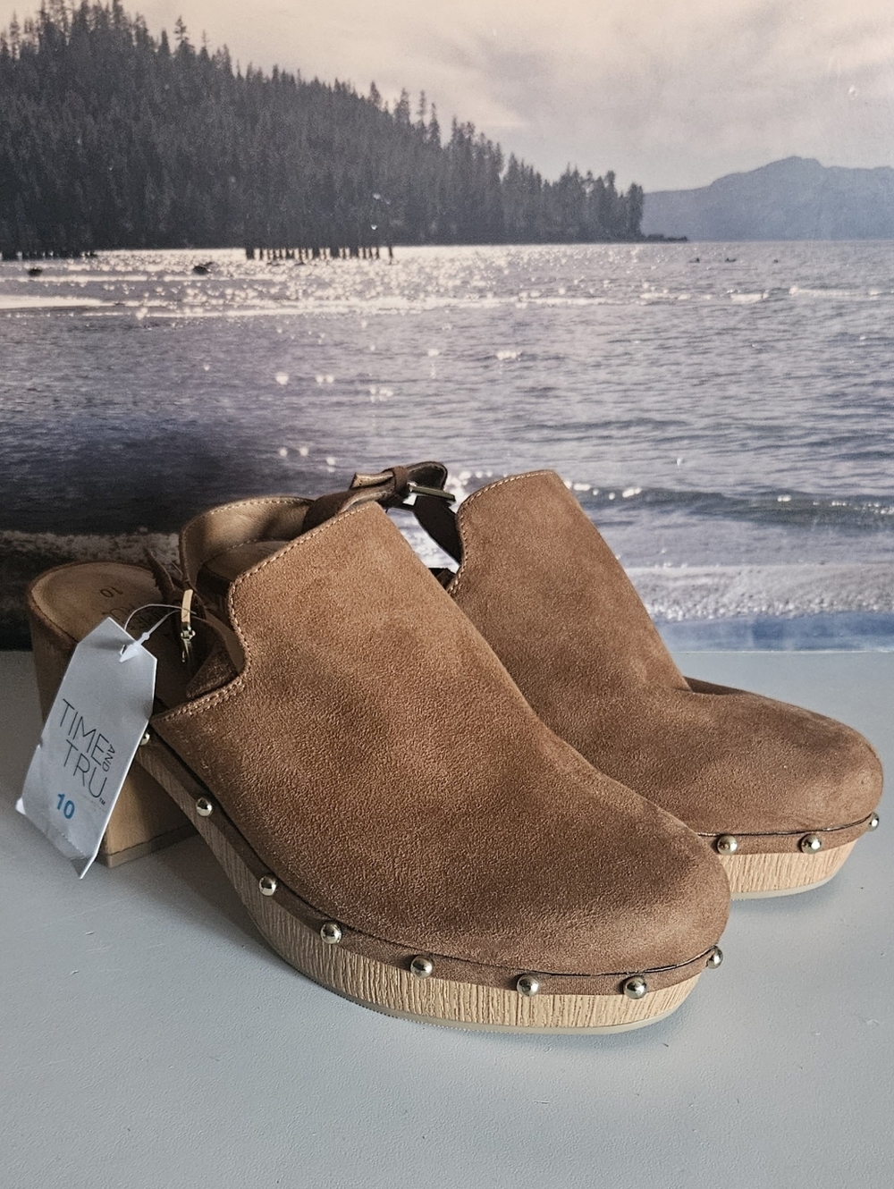NWT Time And Tru Clogs